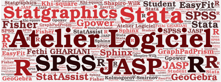 Word Cloud of statistics terms and softwares